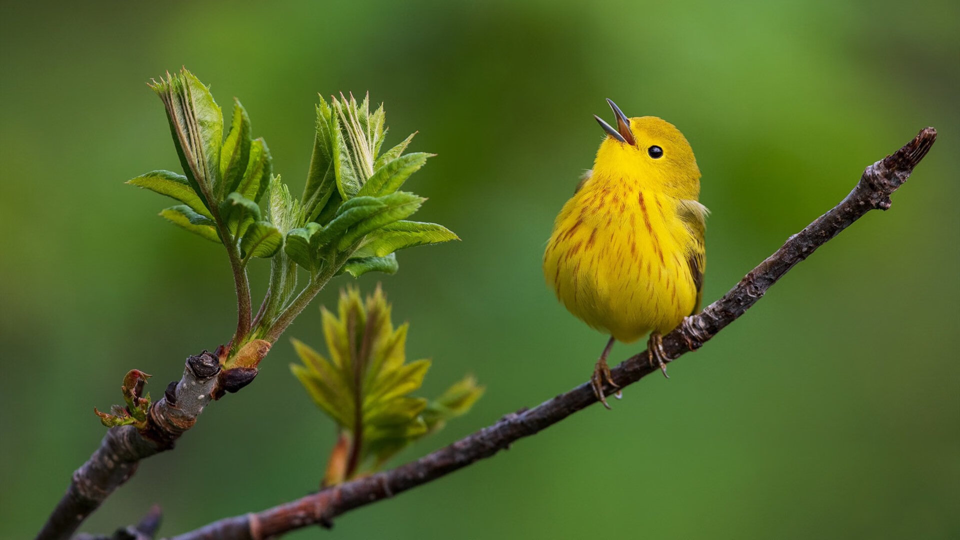 《2025电竞行业面临的挑战与机遇:行业从业者深度剖析》,电竞行业未来