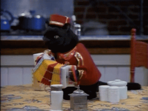 塞内加尔马术队在非洲马术锦标会三项赛中获得第五名,表现稳健。