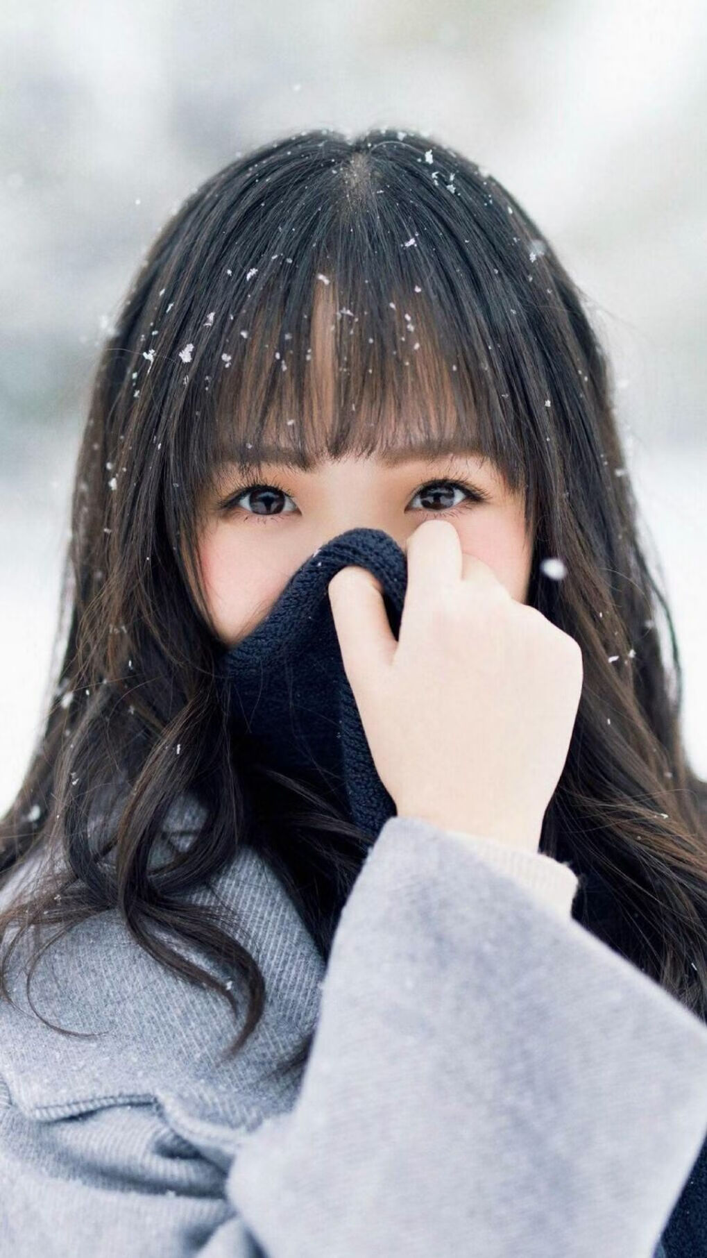 塞内加尔马术队在非洲马术锦标会三项赛中获得第五名,表现稳健。