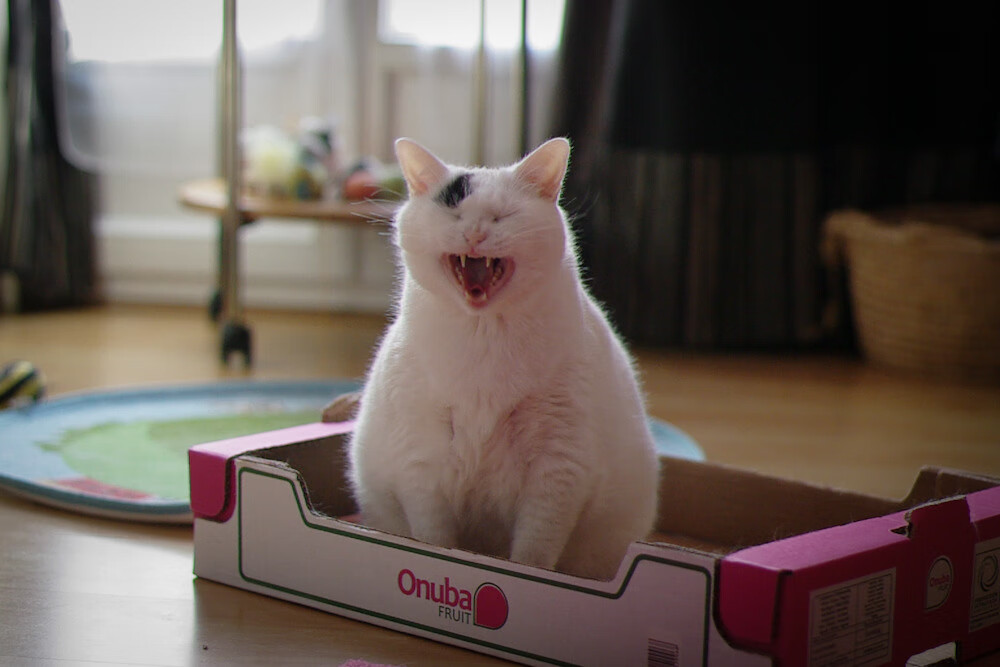 kaiyun登录入口-利物浦后防再遭考验，中场核心伤缺影响巨大，利物浦引进中后卫